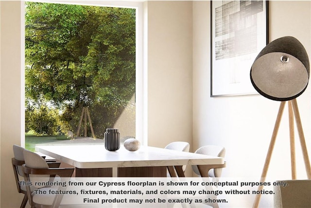 interior space with a wealth of natural light