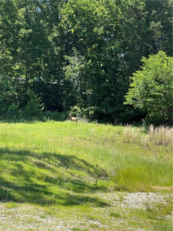 17438 Lake Sequoyah Rd, Fayetteville, AR 72701 - photo 21