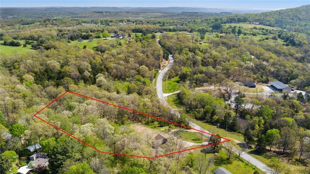bird's eye view with a forest view