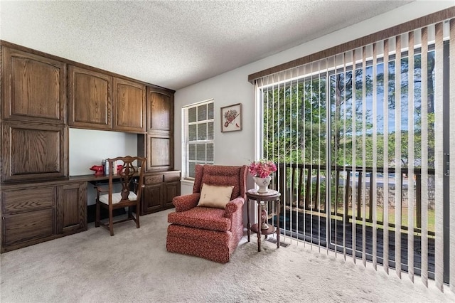 729 Rockcliff, Fayetteville, AR 72701 - photo 10