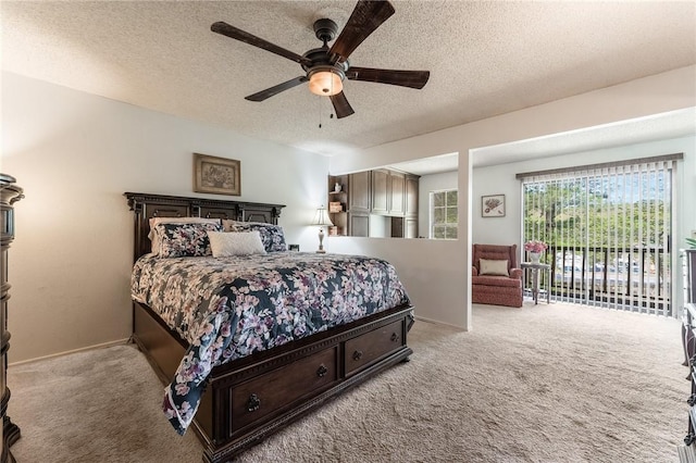 729 Rockcliff, Fayetteville, AR 72701 - photo 9