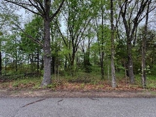 LOT13, BLOCK9 Eastleigh Cir, Bella Vista, AR 72714