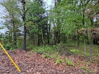 LOT13, BLOCK9 Eastleigh Cir, Bella Vista, AR 72714
