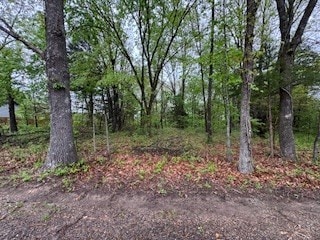 LOT13, BLOCK9 Eastleigh Cir, Bella Vista, AR 72714