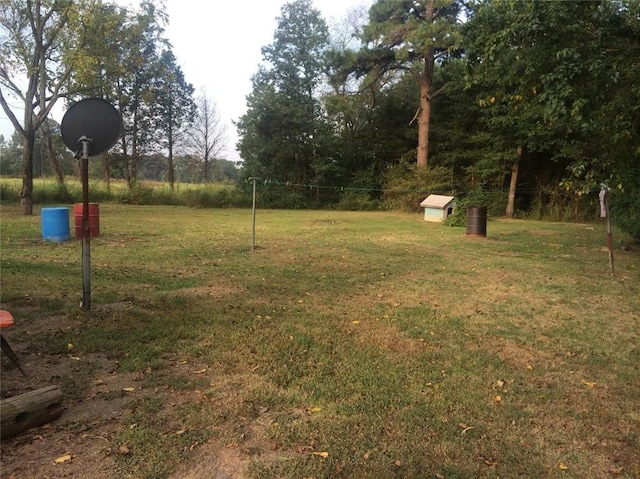 264 Newton Springs Rd, Hector AR, 72843 land for sale