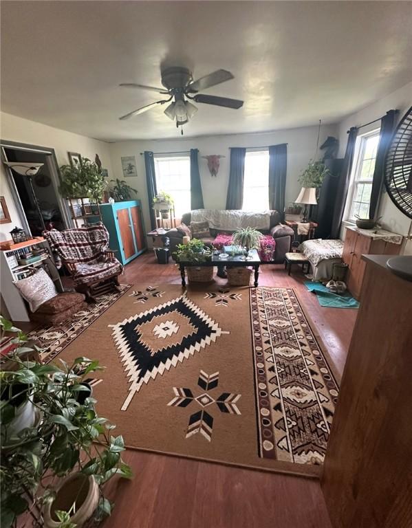 living room with a ceiling fan and wood finished floors