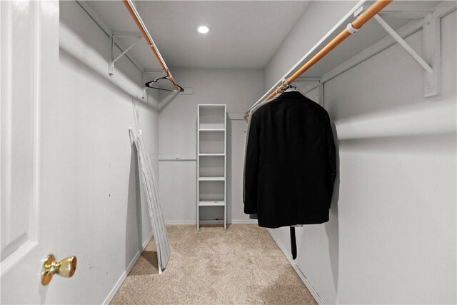 424 W Tanner Dr, Fayetteville, AR 72701 - spacious closet with light colored carpet