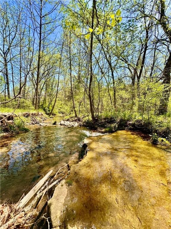 view of local wilderness