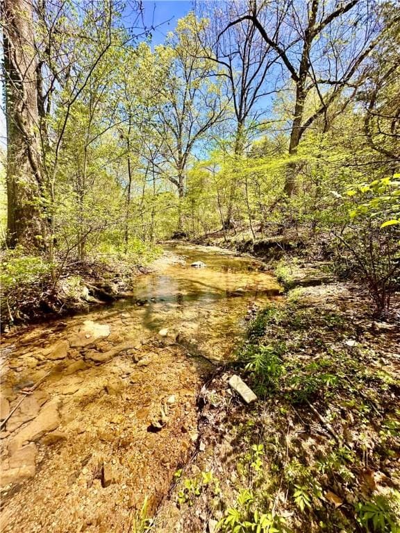 view of local wilderness