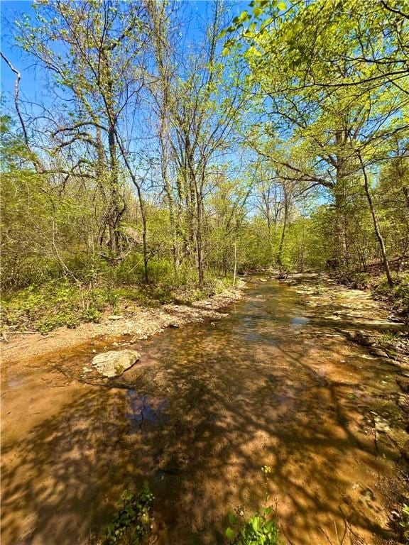 view of local wilderness