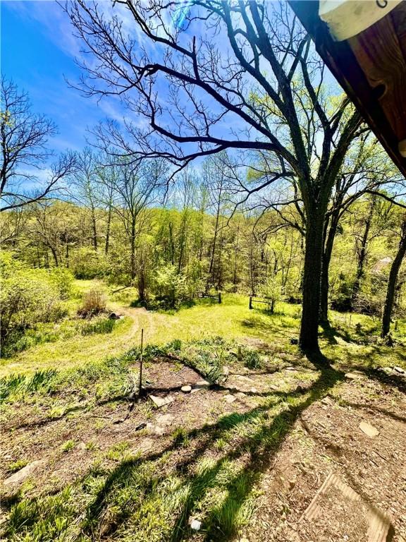 view of local wilderness with a forest view