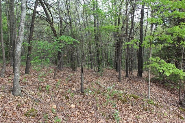 55891 S 594th Rd, Kansas, OK 74347