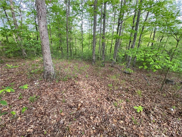 view of landscape featuring a view of trees