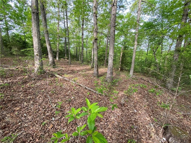 view of landscape featuring a wooded view