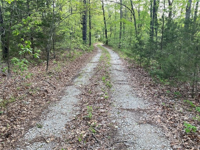 view of street with a view of trees