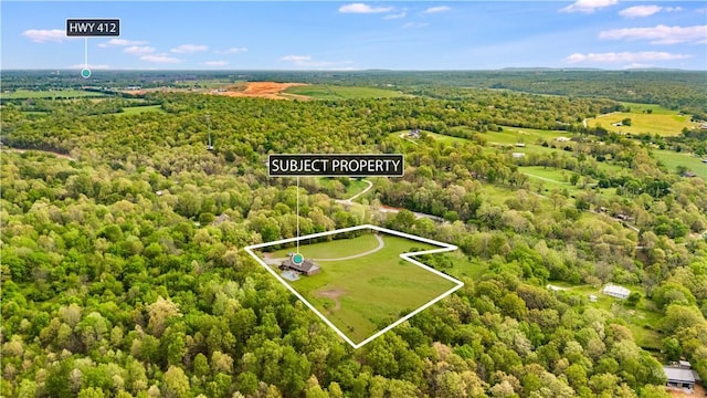bird's eye view with a view of trees