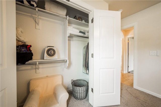 view of closet