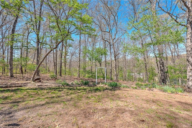 view of yard featuring a wooded view