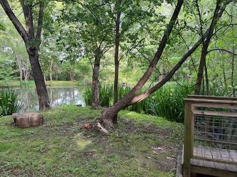 2578 Warwick Dr, Fayetteville, AR 72703 - view of yard with a water view and a forest view