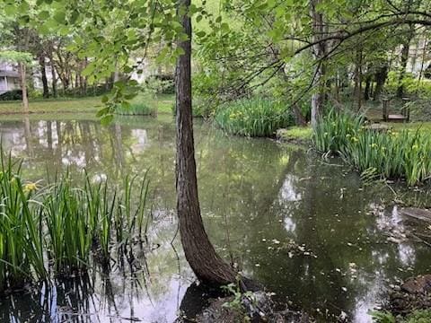 2578 Warwick Dr, Fayetteville, AR 72703 - water view