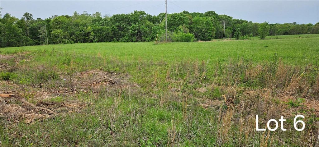 Oakridge Ct, Siloam Springs, AR 72761