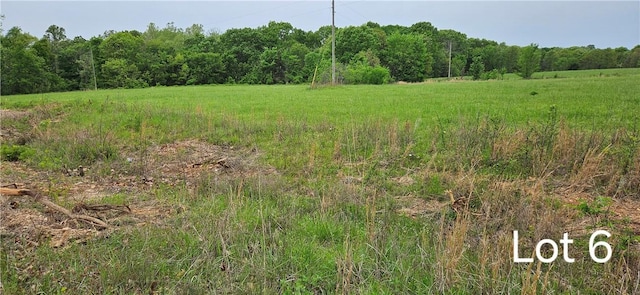 Oakridge Ct, Siloam Springs, AR 72761