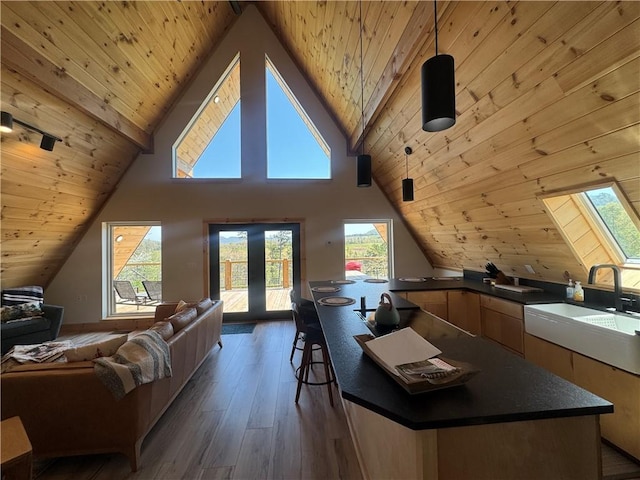 794 NC-3986, Jasper, AR 72641 - living room with wood ceiling, vaulted ceiling, and dark wood finished floors