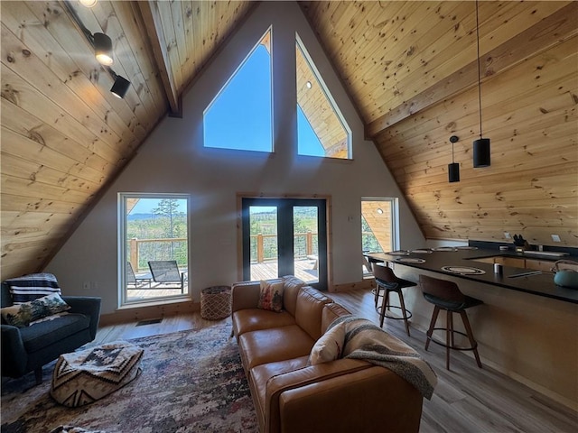 794 NC-3986, Jasper, AR 72641 - living area with lofted ceiling, wood finished floors, and wood ceiling