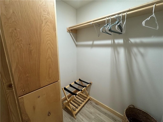 794 NC-3986, Jasper, AR 72641 - spacious closet with light wood-style flooring