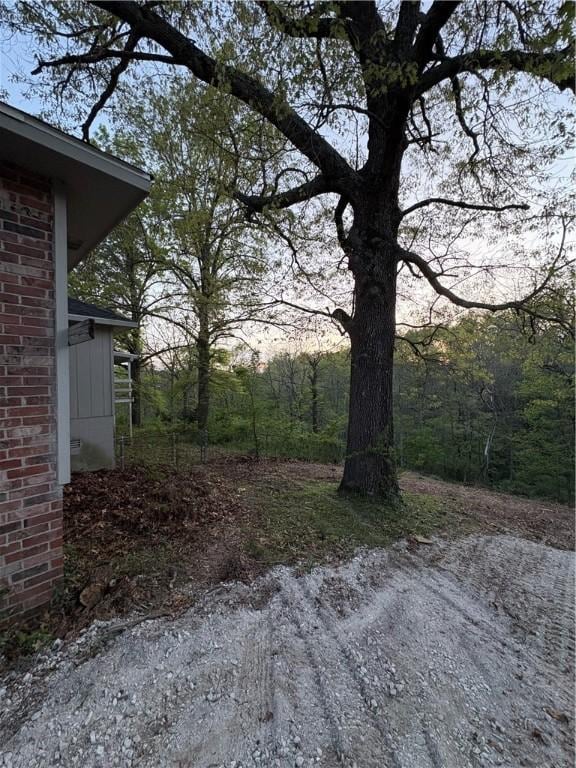 view of yard with a wooded view