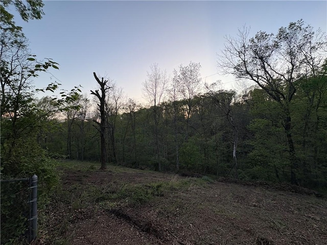 view of local wilderness featuring a view of trees