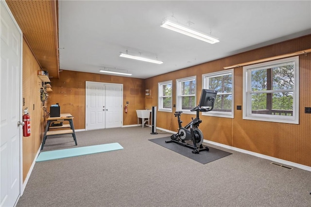 15 Serenity Ln, Holiday Island, AR 72631 - exercise area featuring carpet flooring and wood walls