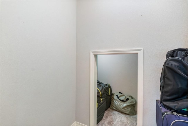 15 Serenity Ln, Holiday Island, AR 72631 - detailed view of carpet flooring
