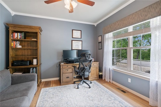 15 Serenity Ln, Holiday Island, AR 72631 - home office featuring crown molding, ceiling fan, and light wood finished floors