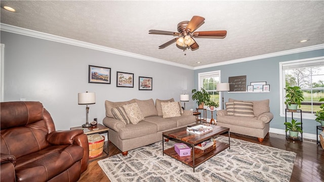 living room with a textured ceiling, crown molding, baseboards, wood-type flooring, and a ceiling fan