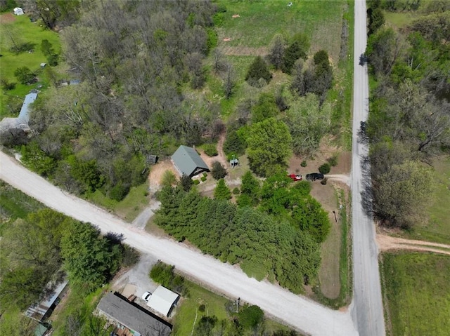 1010 Ashley Ln, Pea Ridge, AR 72751 - aerial overview of property's location