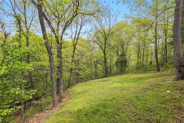 view of yard featuring a view of trees