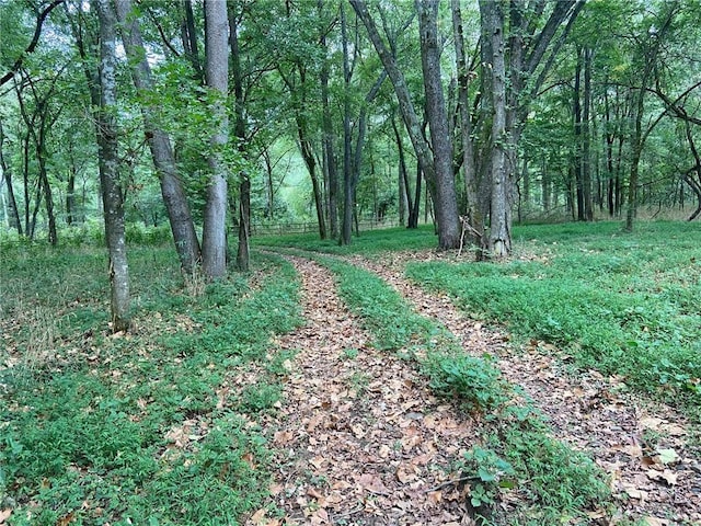 377 Madison Unit 5116, Elkins, AR 72727 - photo 5