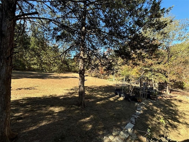 2525 Dustin Ln, Omaha, AR 72662 - view of yard