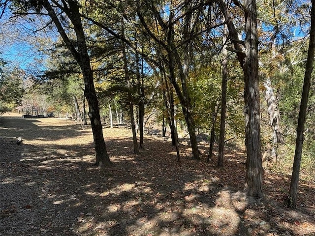2525 Dustin Ln, Omaha, AR 72662 - view of landscape