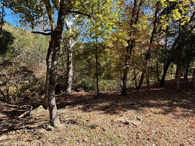 2525 Dustin Ln, Omaha, AR 72662 - view of nature with a view of trees