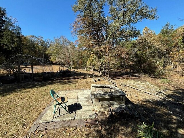 2525 Dustin Ln, Omaha, AR 72662 - view of yard featuring a patio area