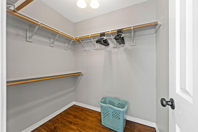 walk in closet with wood finished floors