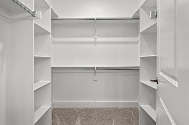 spacious closet with carpet