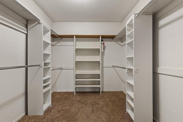 5 Sorbie Dr, Bella Vista, AR 72715 - spacious closet with carpet floors