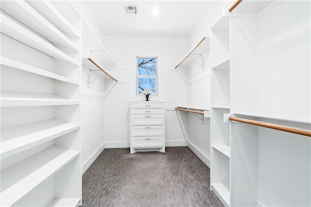 113 SE F St, Bentonville, AR 72712 - spacious closet with dark carpet and visible vents
