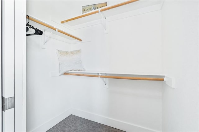 113 SE F St, Bentonville, AR 72712 - spacious closet with carpet flooring