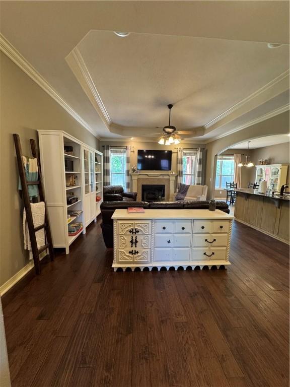 living area featuring dark wood-style flooring, a tray ceiling, and plenty of natural light
