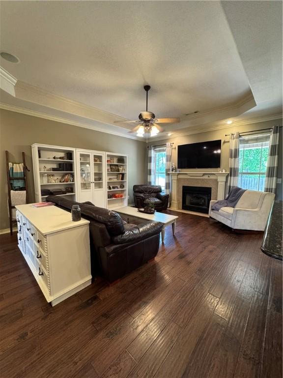 living area with crown molding, a raised ceiling, and a wealth of natural light