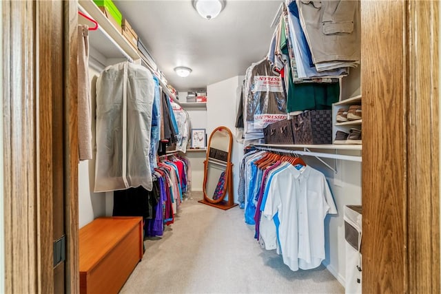 spacious closet with carpet floors